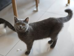 -平行世界·猫咖(首经贸店)