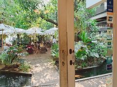 -Fern Forest Cafe