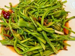 -菌自由丨野生菌火锅特色庭院餐厅(丽江古城店)