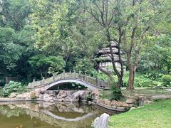 -深圳国际园林花卉博览园