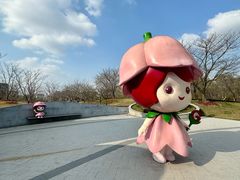 -顾村公园