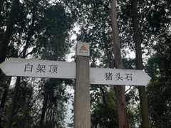 -火炉山森林公园