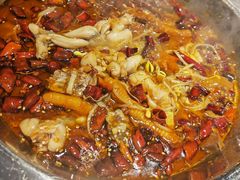 -十二点·辣椒炒肉(南山店)