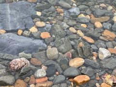 -银沙滩浴场