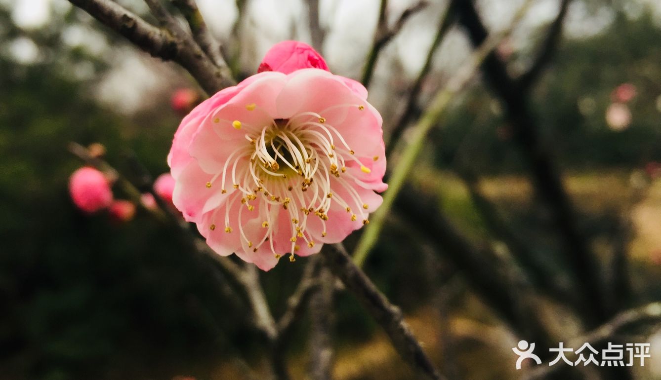老天爷在春节几天给了几个晴天还是算蛮好的了