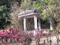 -南沙蒲洲花园