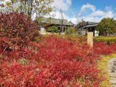 -丽江金茂凯悦臻选酒店-滇香馆