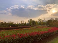 -九里河湿地公园