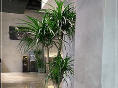 -野鸽子咖啡(中航店)