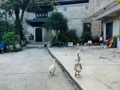 -羊楼洞