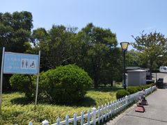 -南汇嘴观海公园
