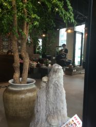 F:\\活动照片\\其他\\小p\\IMG_1277-P.STYLE 派斯造型