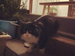 -知亘茶食