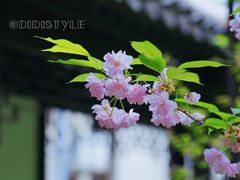 -君庭中餐厅(友谊宾馆店)