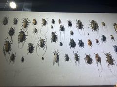 -燕莎友谊商城(亮马桥店)