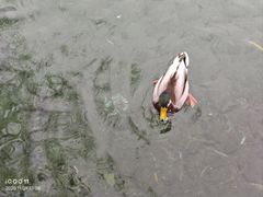 -水磨沟公园