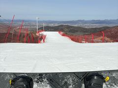 -华盛园卷子王农家菜水库鱼