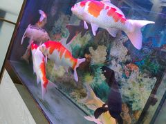 -朋朋修脚(友好广场店)