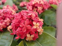 -白石龙音乐公园