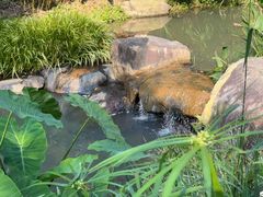 -云溪植物园