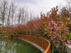-太阳宫公园