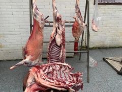 -不炭白烧烤(成都首店)