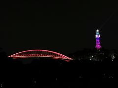 -金鸡山公园