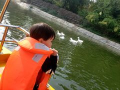 -西安汉城湖景区