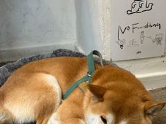 -三目仓咖啡(贤南路店)