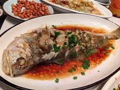 -金海湾海鲜排档(朱家尖店)