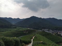 -听风阁农家私房菜茶楼(龙坞店)