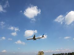-空港花田景区