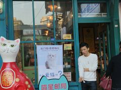 -猫咪博物馆(顶澳仔猫街店)