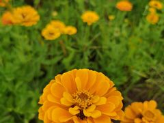 -帽儿山国家森林公园