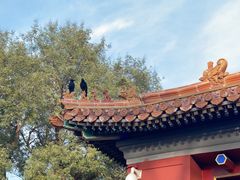 -北京稻香村(零号店)