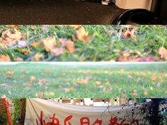-河南省黄河迎宾馆