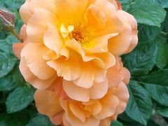 -圆明园遗址公园-藻园门售票处