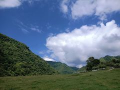 -狮子沟牧场