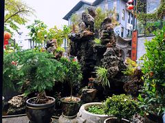 -海韵人家.海景花园经典云南菜(双廊店)