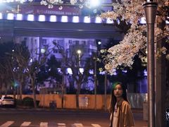 -上海南浦大桥长途旅游客运站