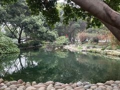 -成都市活水公园
