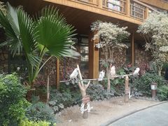 -南宫五洲植物乐园