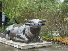 -梁鸿国家湿地公园