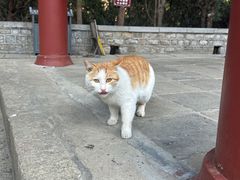 -四门塔风景区