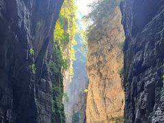 -武陵山森林公园