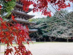-醍醐寺