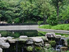 -白水寺森林公园