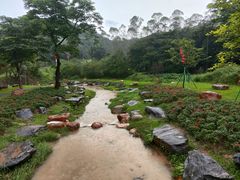 -黄埔油麻山森林公园