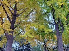 -元大都城垣遗址公园