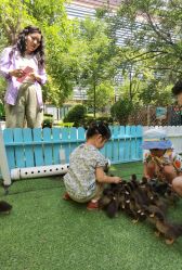 -萌宠亲子动物乐园(槐房万达店)